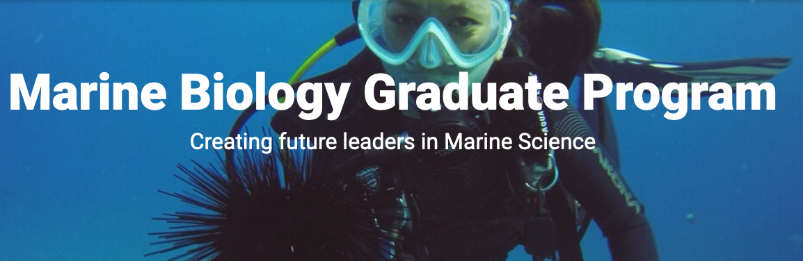 Scuba diver with sea urchin