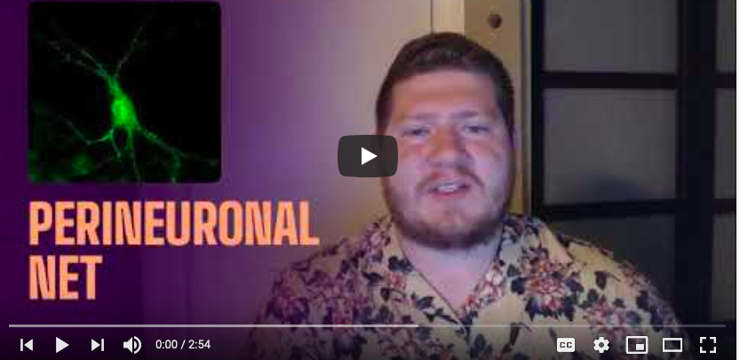 Alexandru Sasuclark on video screen