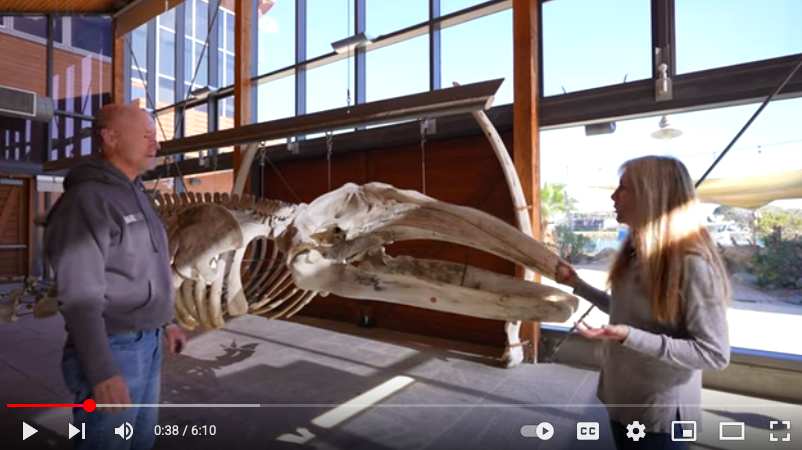 Drs. Chris Lowe and Gwen Goodmanlowe