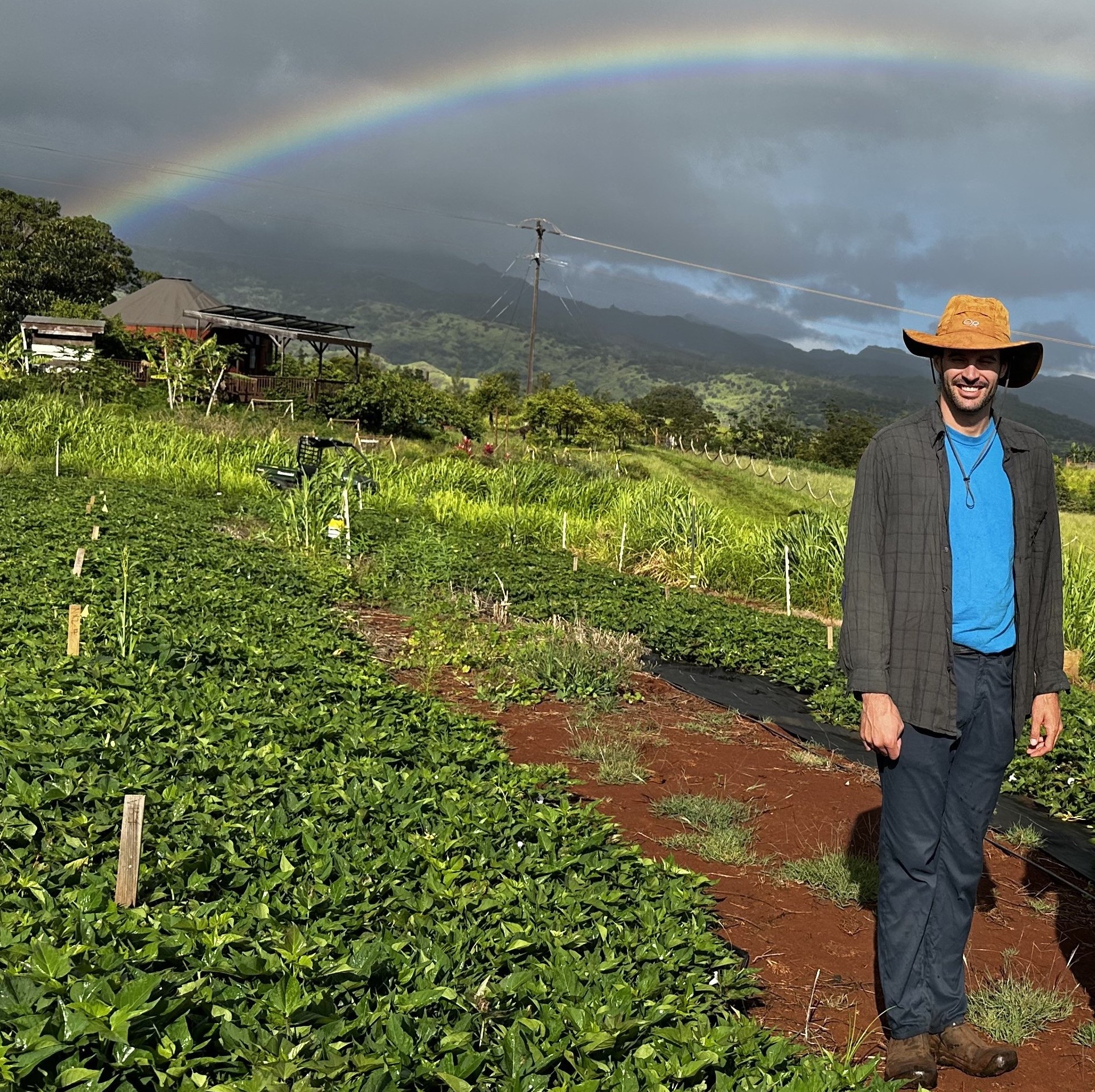 Benjamin Wiseman in sweet potato field Benjamin Wiseman in sweet potato field