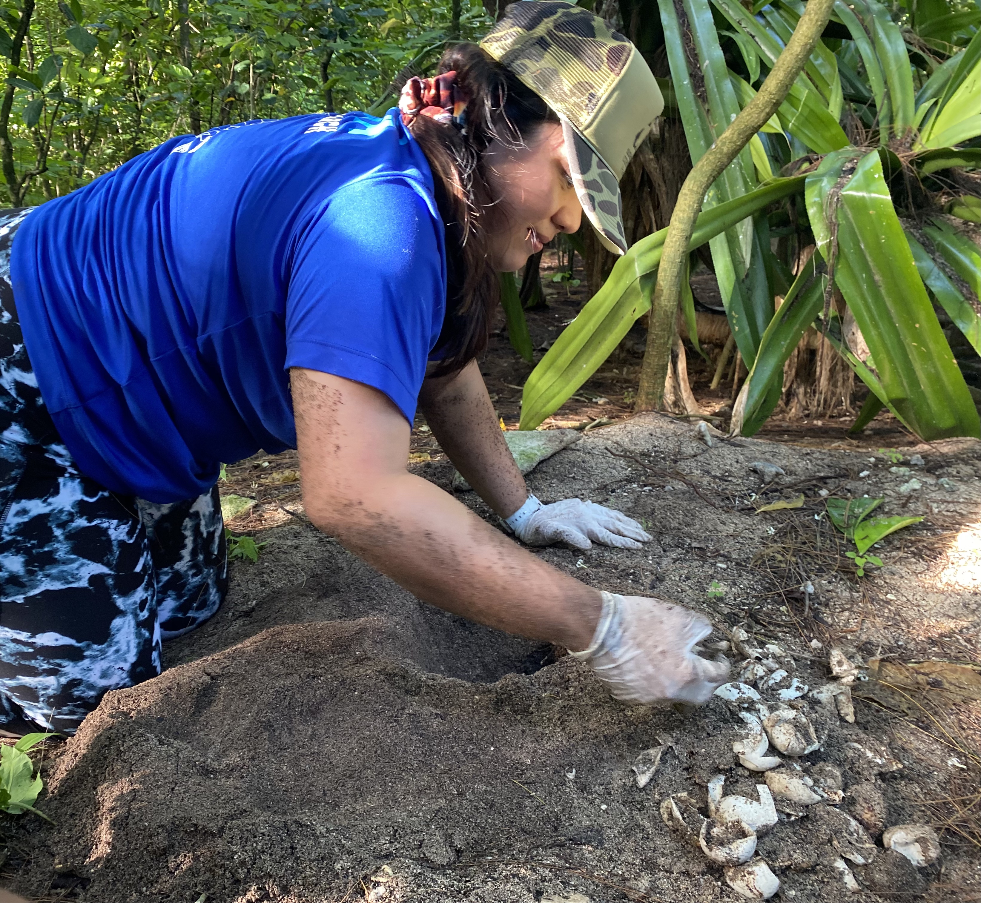 Honolulu ARCS Scholar Sefa Muñoz Sefa Muñoz excavating turtle nest