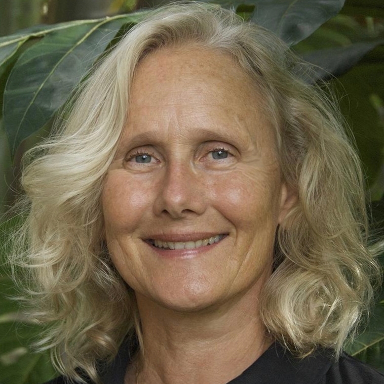 ARCS Scholar Diane Ragone Diane Ragone, headshot