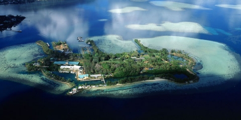 Aerial view of Mku o Loe, popularly known as Coconut Island Aerial view of Mku o Loe