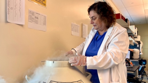Dr. Mariana Gerschenson in creyogenic laboratory