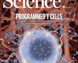 Dec 6 Science Journal cover