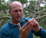 Eric VanderWerf holding bird