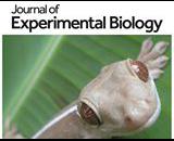 Jounral of Experimental Biology icon